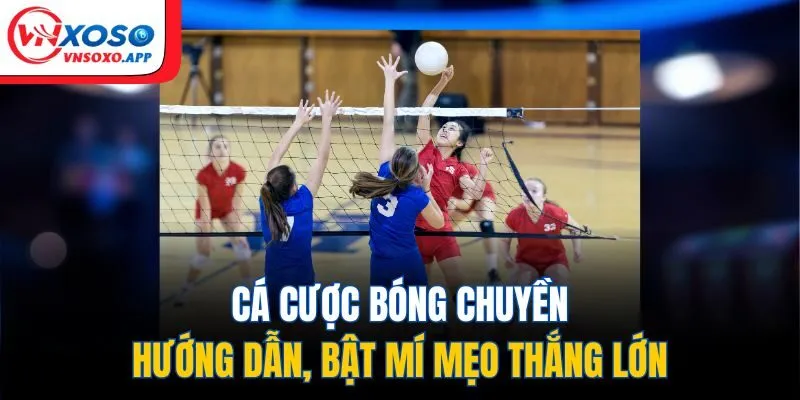 Cá Cược Bóng Chuyền - Hướng Dẫn, Bật Mí Mẹo Thắng Lớn