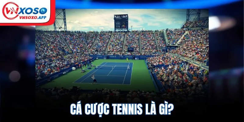 Cá cược tennis là gì?