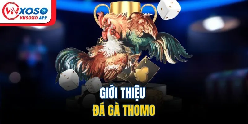 Giới thiệu đá gà thomo