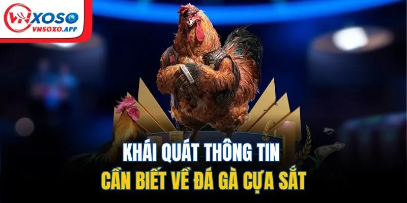Khái quát thông tin cần biết về đá gà cựa sắt