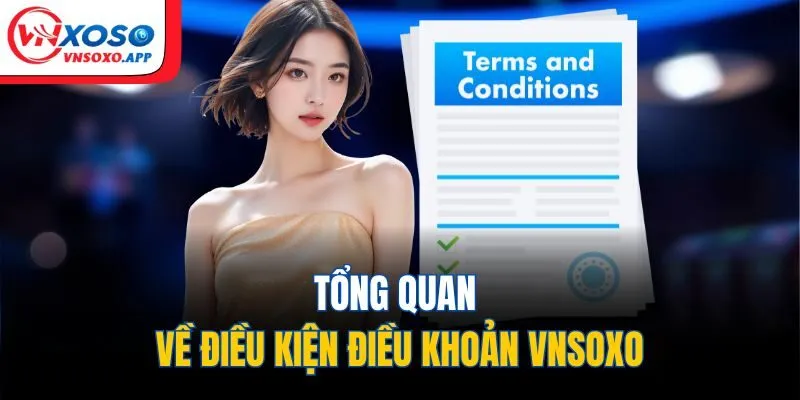 Tổng quan về điều kiện điều khoản Vnxoso